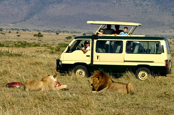 7 Days Samburu, Sweetwaters, Lake Nakuru and Masai Mara Safari